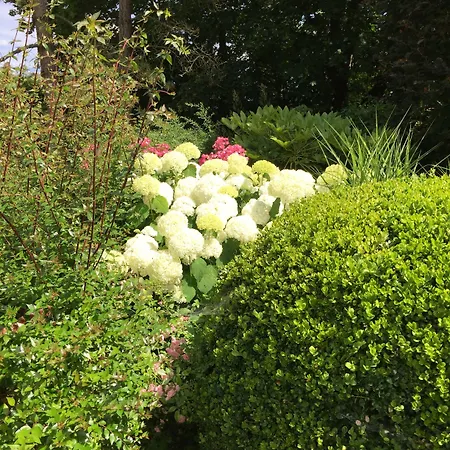 Joussaume Latour Bed and breakfast Château-Thierry